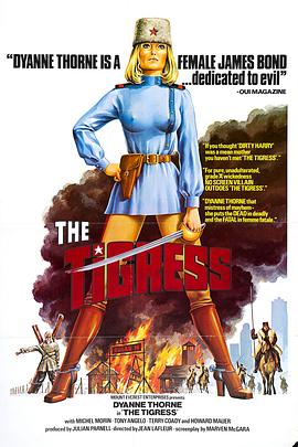 seo优化什么时候发布